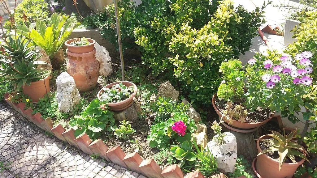 Casa Vacanze Orione Apartment Alcamo Marina Italy